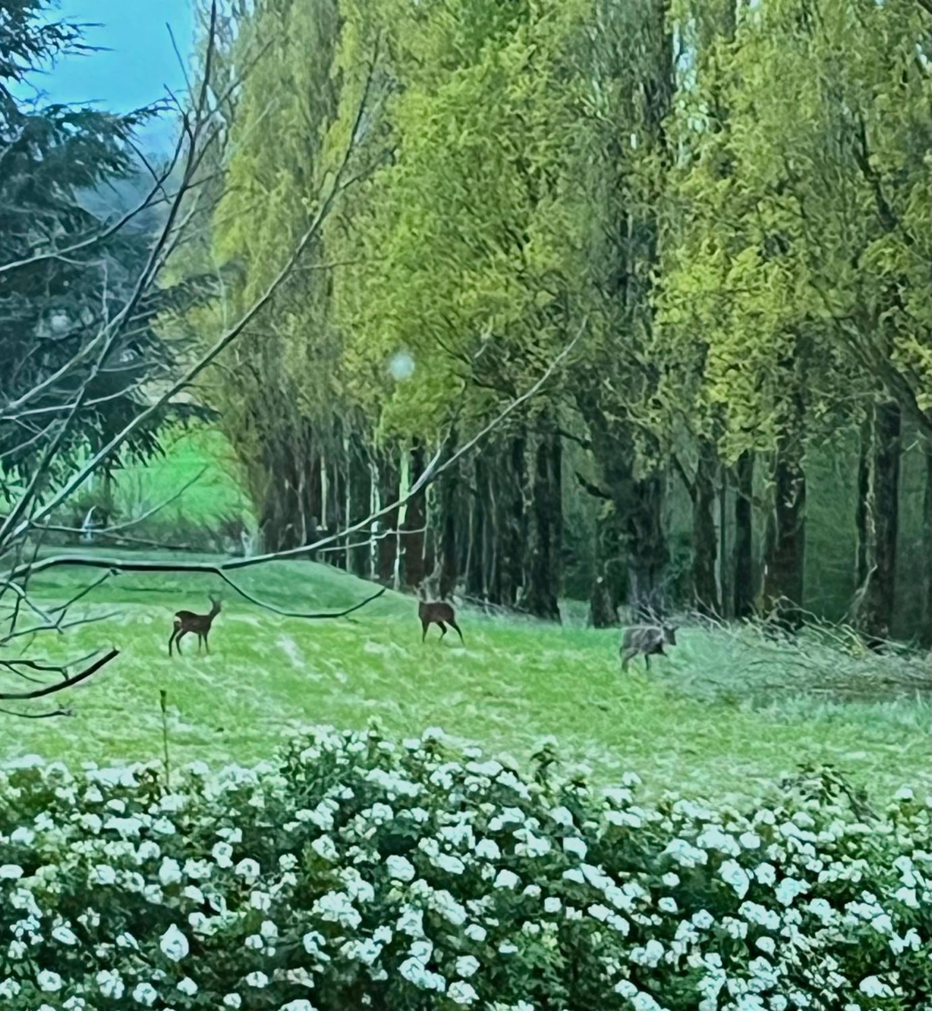 Chateau La Chevalerie - 24H Du Mans Parigné-le-Pôlin Dış mekan fotoğraf